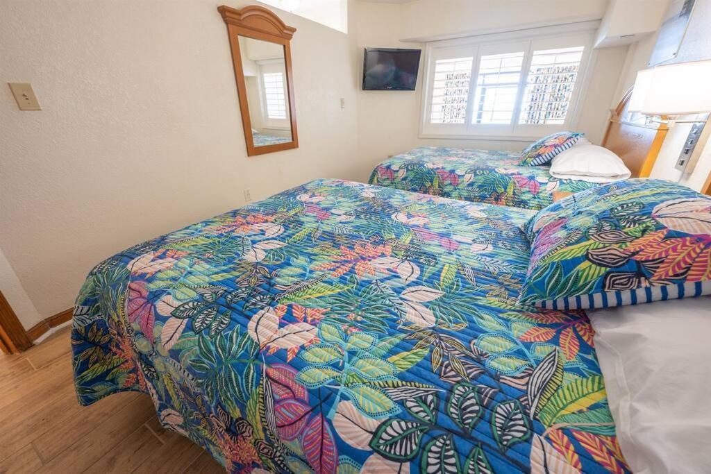 New Remodeled Direct Oceanfront Views Beach Cove شاطئ ميرتل المظهر الخارجي الصورة