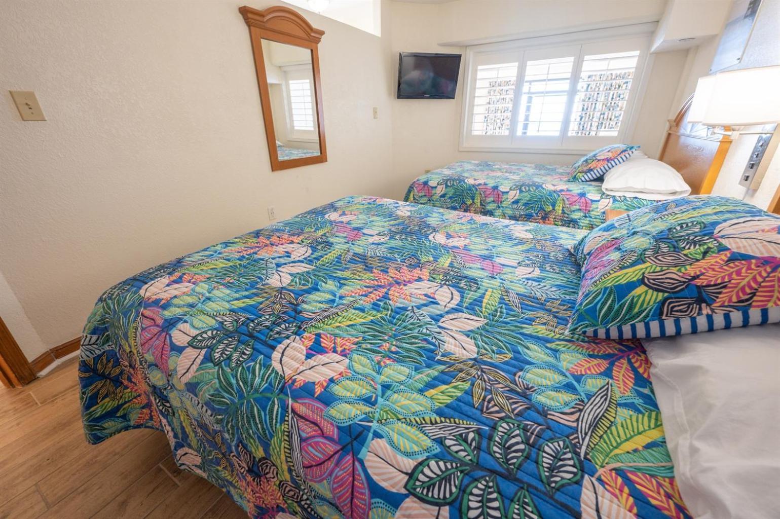 New Remodeled Direct Oceanfront Views Beach Cove شاطئ ميرتل المظهر الخارجي الصورة